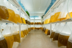 laboratorio_01