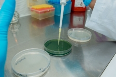 laboratorio_02