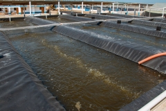 laboratorio_05
